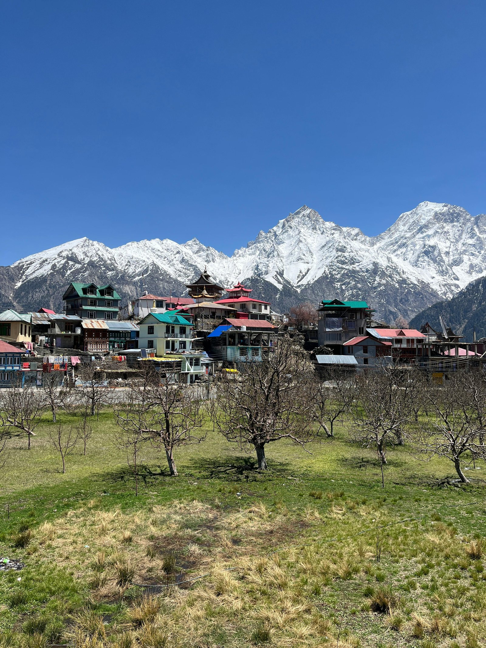 Kinnaur